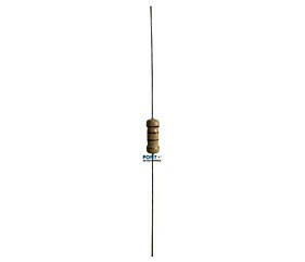 Resistor 220R 2W 5%