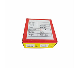 Fusível 4A 250V Grande 6X30 Vidro