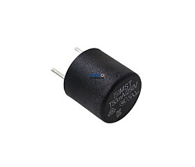 Fusível 50MA 250V Micro Fusível 0034.6602 Schurter